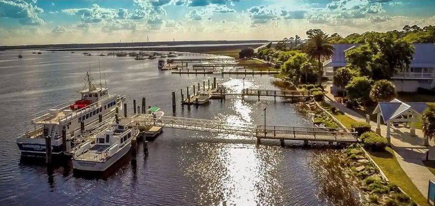 A marina with boats docked, a bridge, and residential buildings along the waterfront.