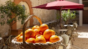 Un panier en osier rempli d’oranges, un parasol rouge et des sièges d’extérieur dans une cour.