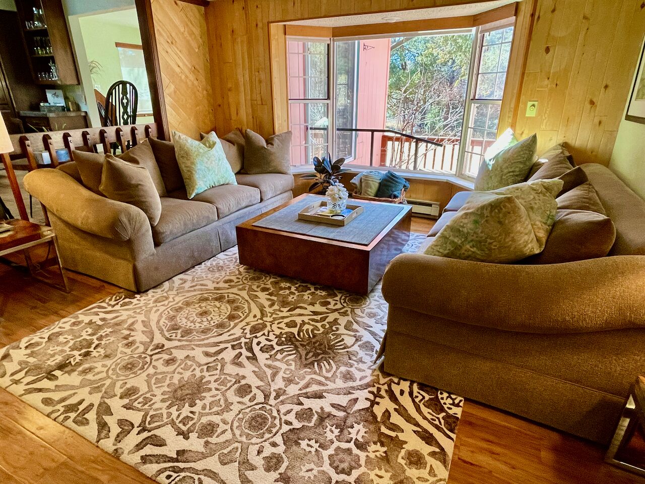 TV, fireplace, books