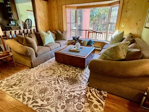 TV, fireplace, books