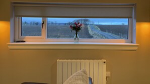 Een uitzicht op een landelijk landschap, een vaas met bloemen en een verwarming eronder.