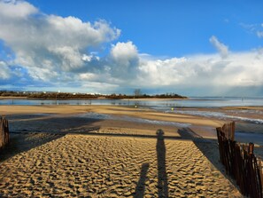 Playa en los alrededores y camastros 