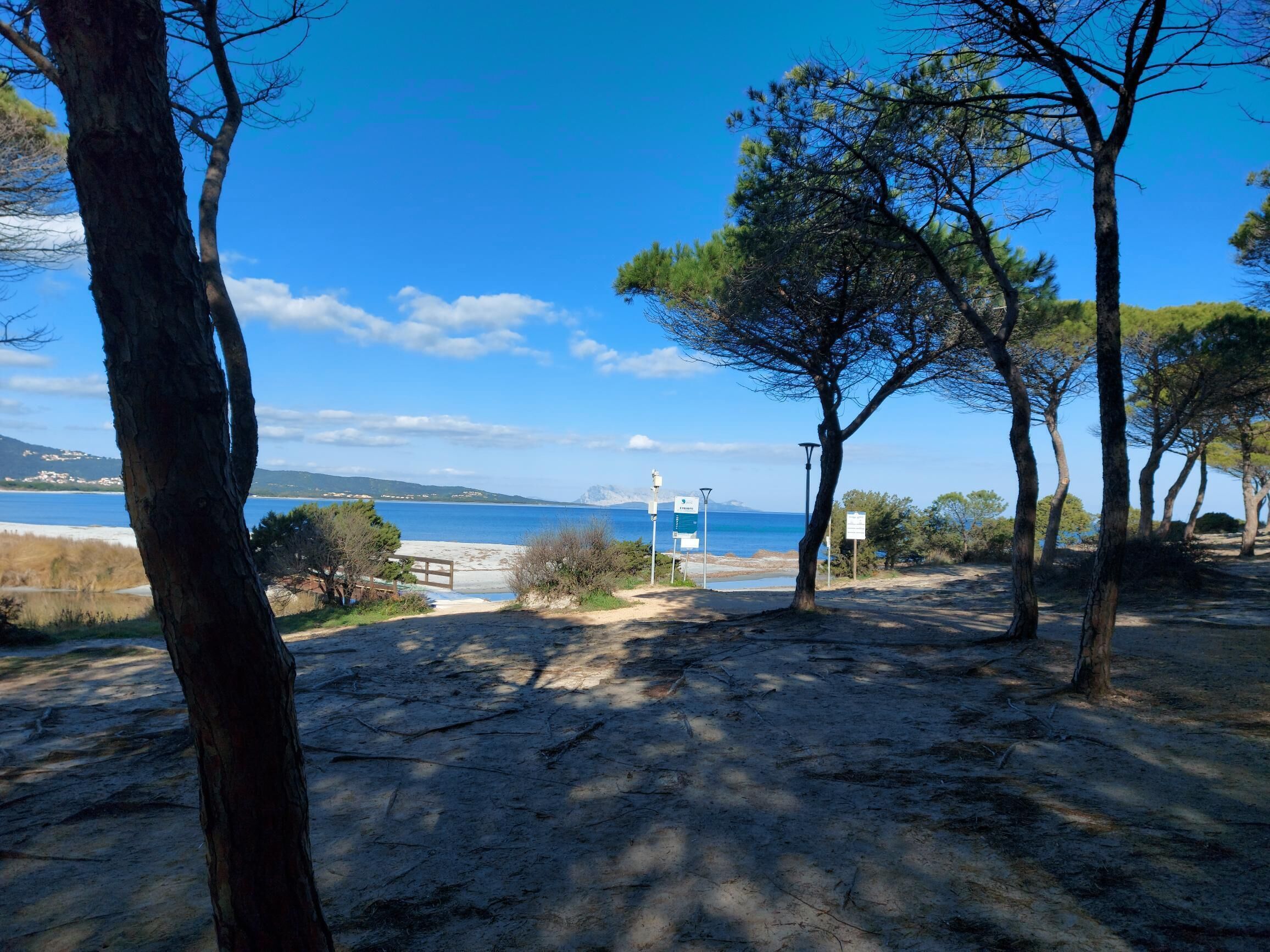 A beach area with trees, a path leading to the beach, and a clear view of the sea.