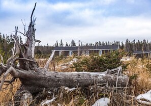 A cabin with a large log in the foreground, surrounded by a forest and a cloudy sky.