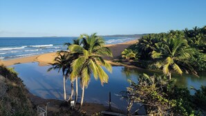 A beach with palm trees, a calm sea, and a clear sky. - Beautiful home 10 min from everythin!! (luquillo)