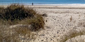 Beach nearby, sun loungers