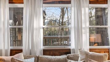 TV connectée, cheminée, livres