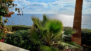 Vista sulla costa con una palma e vegetazione lussureggiante.