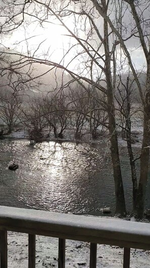 Property grounds - Cozy Riverfront Cabin (Mendota)