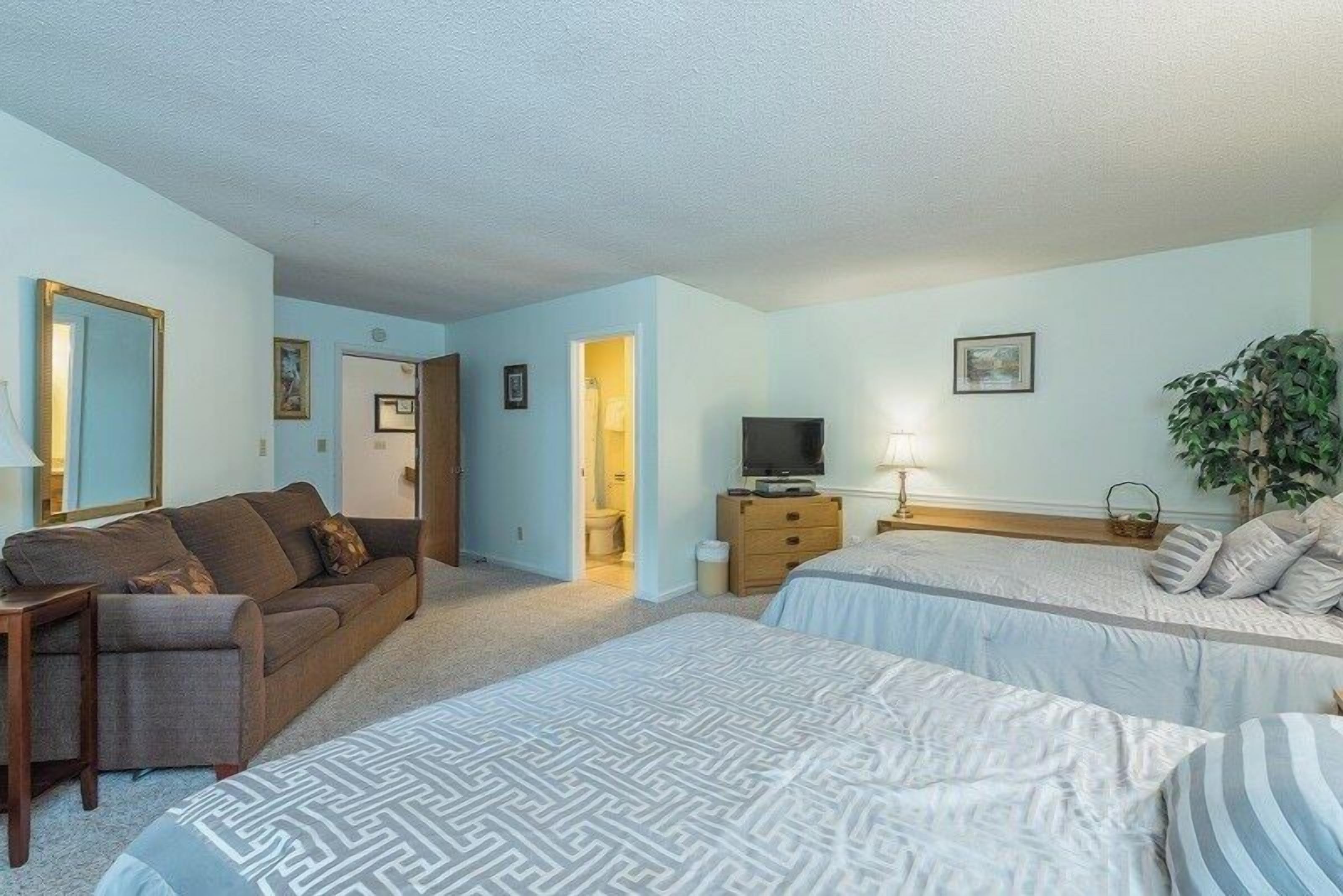 A hotel room with two beds, a sofa, a television, a desk, and a plant.