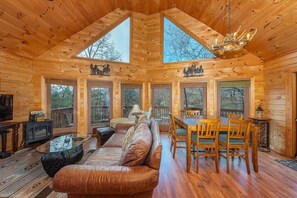 Télévision, cheminée, lecteur de DVD