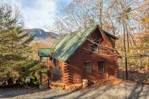 A log cabin with a green metal roof, surrounded by trees and a mountain in the background.