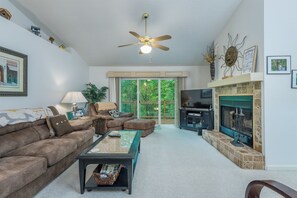 Télévision, cheminée, lecteur de DVD