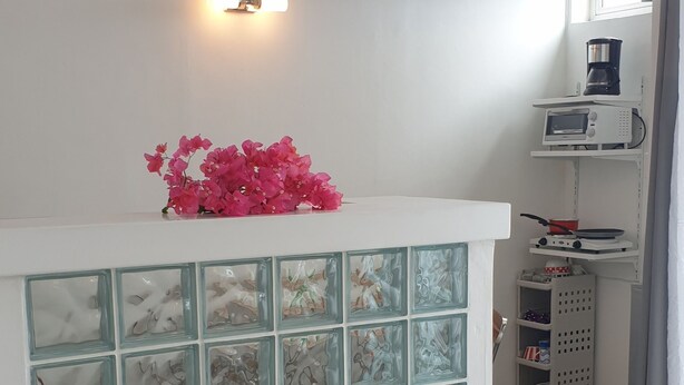 A living room with a white sofa, a glass partition with abstract designs, a pink flower arrangement, and a coffee machine on a shelf. - T1 apartment in the city center of Grand-Baie 2 minutes from the beach (Grand Baie)