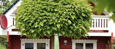 Àrea exterior de l'allotjament