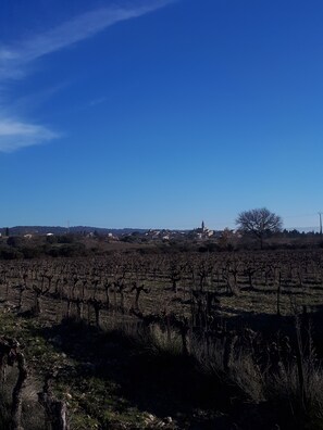 Miscellaneous - Vacation apartment near Mt Vetoux, in the heart of a small Provencal village (Saint-Pierre-de-Vassols)