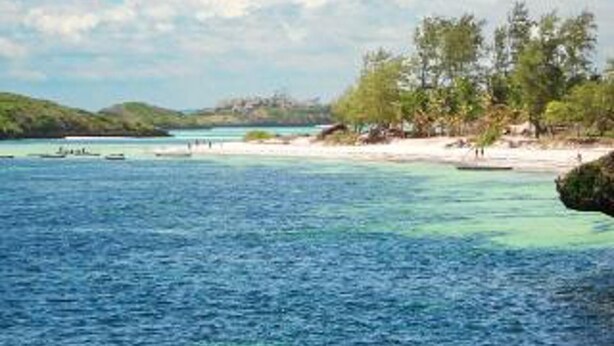 A coastal scene with clear turquoise waters, a sandy beach, and a line of trees. - Stunning 3-bed Villa in Watamu (Watamu)