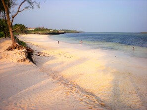 Villa | Exterior - Stunning 3-bed Villa in Watamu (Watamu)