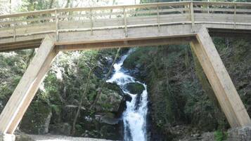 Un puente de madera sobre una cascada en un área boscosa.