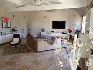 Smart TV, fireplace, DVD player, books