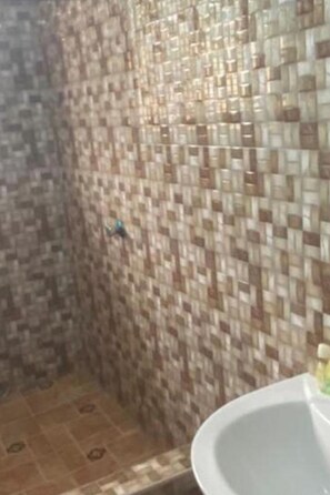 Douche, serviettes fournies, papier toilette