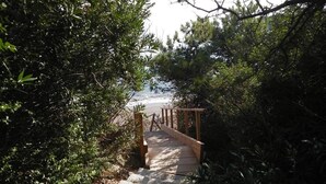 Een pad dat naar een strand leidt, omgeven door weelderige begroeiing.