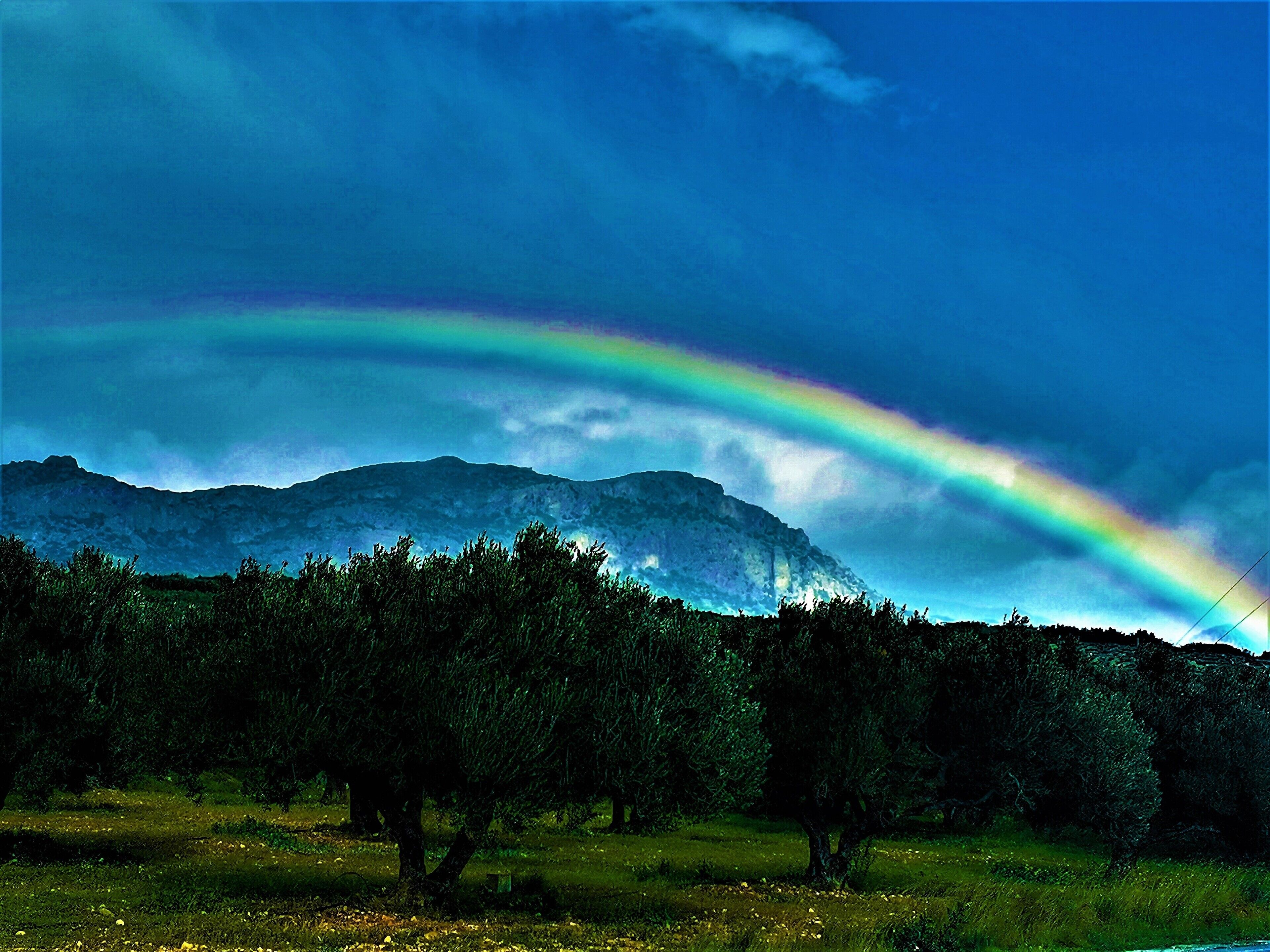 A mountain landscape with a rainbow and trees.