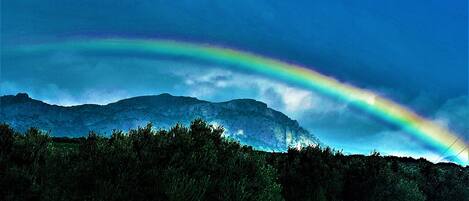 A mountain landscape with a rainbow and trees.