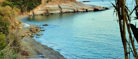 Departamento | Playa