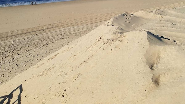 A beach with clear skies and calm waves. - Landes house 10 min from the beach, 5min from the cycle path and forest (Mimizan)