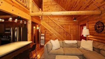 TV connectée, cheminée, livres