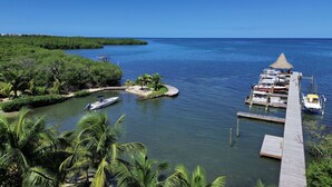 A marina with boats docked, a wooden pier, and lush greenery surrounding the water.