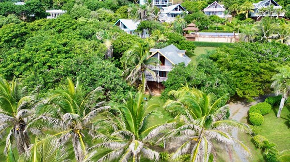 Un complexe hôtelier tropical doté d’une végétation luxuriante, de plusieurs maisons de style bungalow et d’un bâtiment central avec un toit en pente.