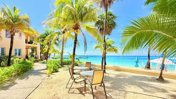 A beachside patio with tables and chairs, palm trees, and a view of the ocean. - Coral Sand 10, Condos #1 & 5 @ West Bay Beach (West Bay)