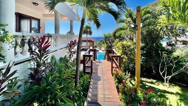 Un área de piscina con terraza de madera, rodeada de exuberante vegetación y palmeras.