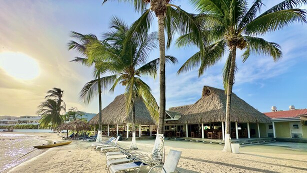A beachside resort with thatched-roof huts, lounge chairs, and palm trees. - Turtle Villa 0120 @ Las Palmas Beach, Dixon Cove (Dixon Cove)