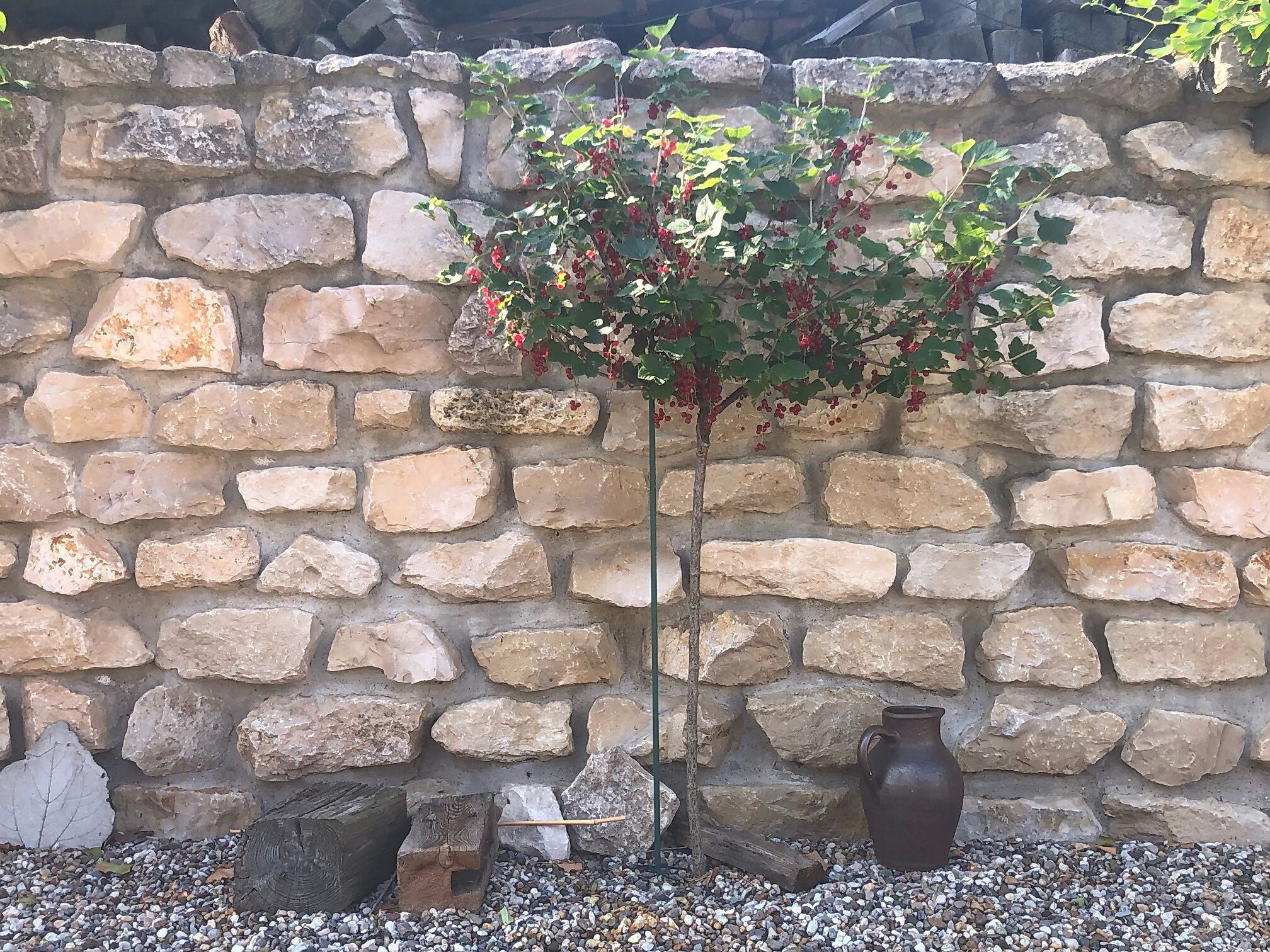 Un mur de pierre avec une plante et un pot.