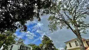 Un edificio con un amplio césped, un árbol y un cielo parcialmente nublado.