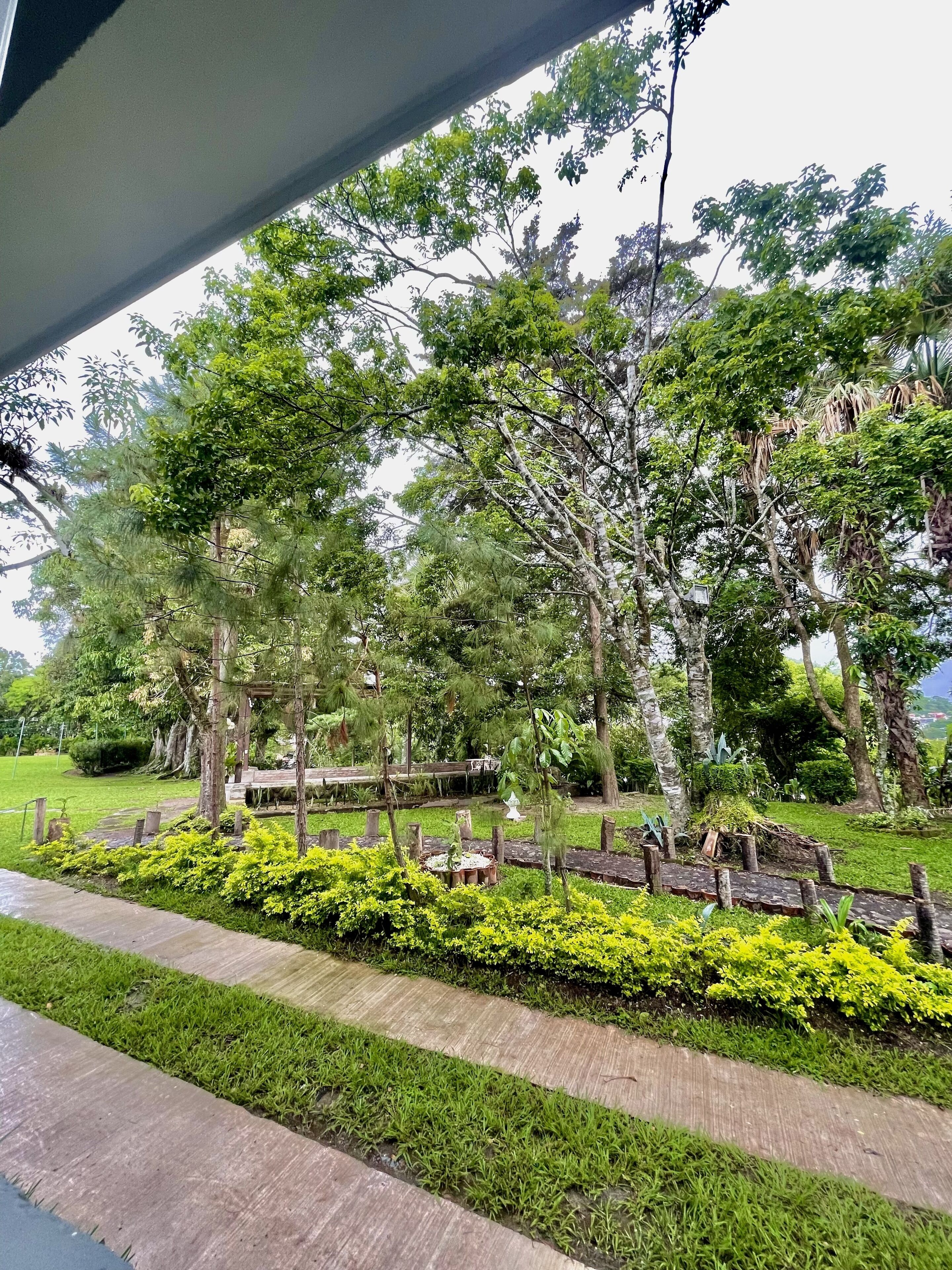 Foto - Hotel Finca San Nicolas