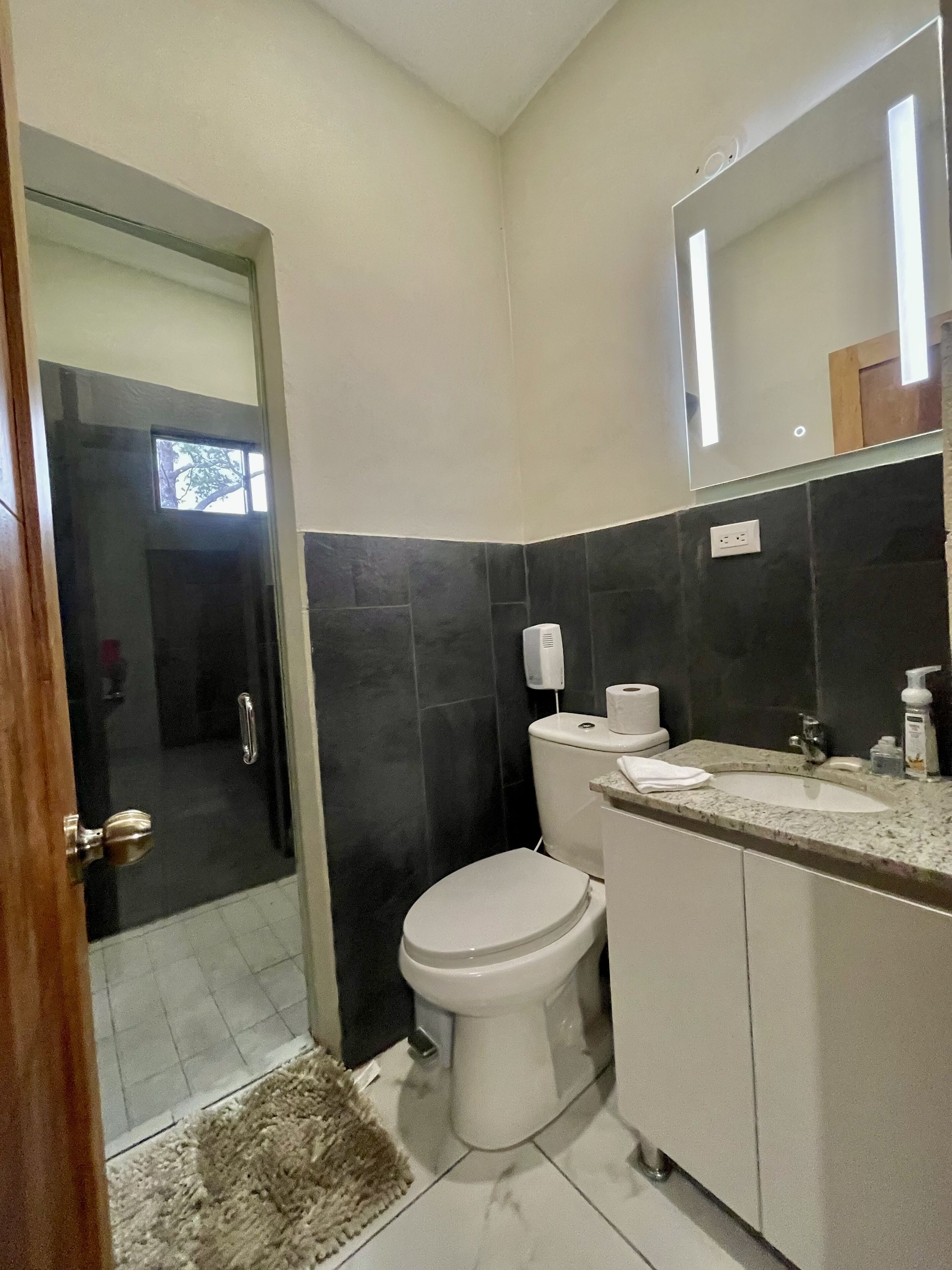 Une salle de bain équipée de toilettes, d’un lavabo et d’un miroir. On peut apercevoir l’espace de la douche à travers une porte en verre.