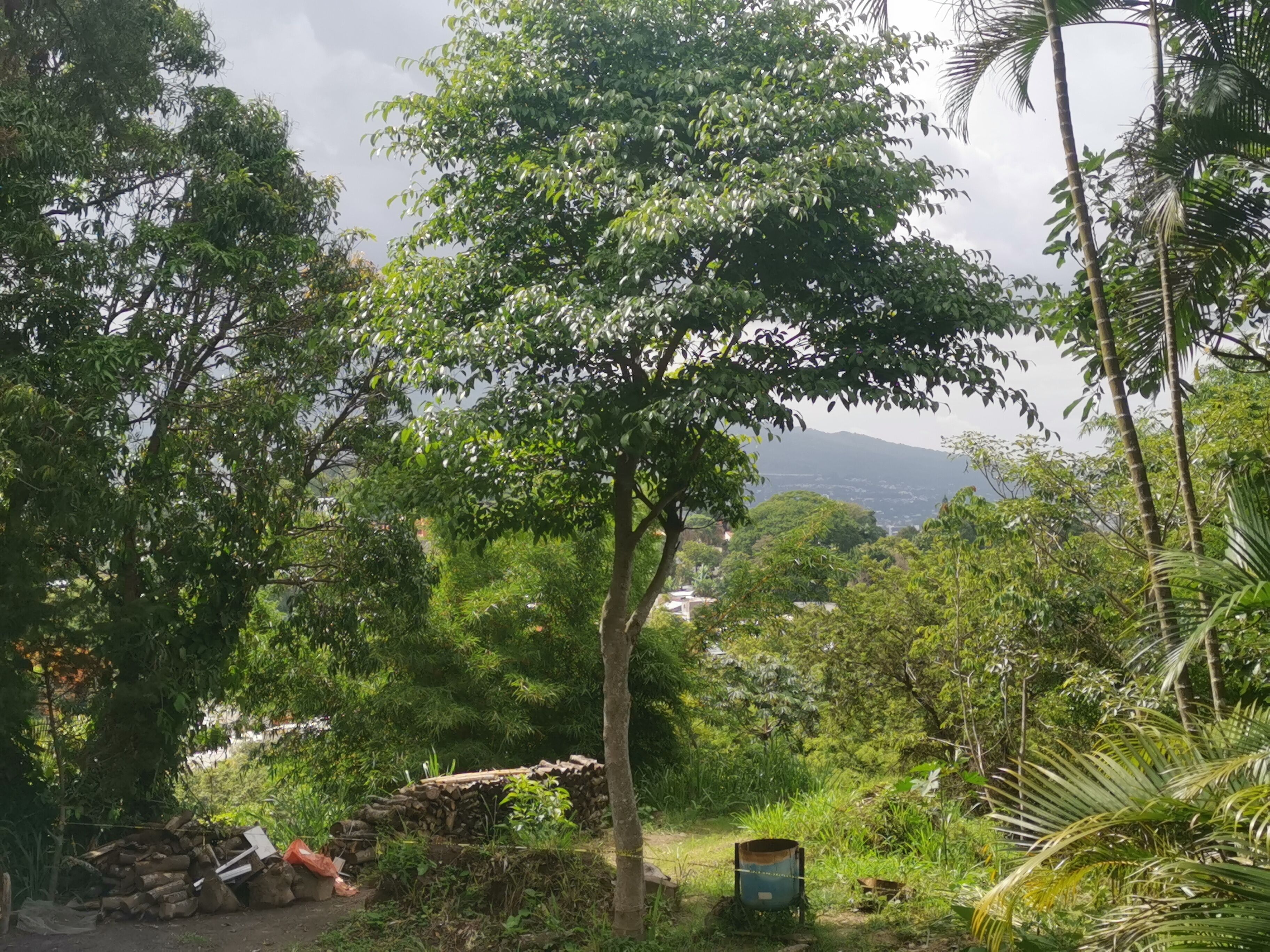 deluxe double room with balcony | 1 bedroom, premium bedding, down duvets, desk