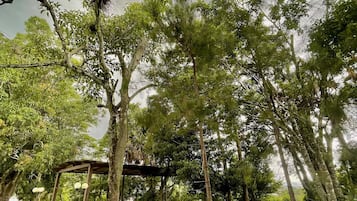 Double Room with Garden View | Vista dalla camera