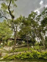 Double Room with Garden View | Vistas desde la habitación