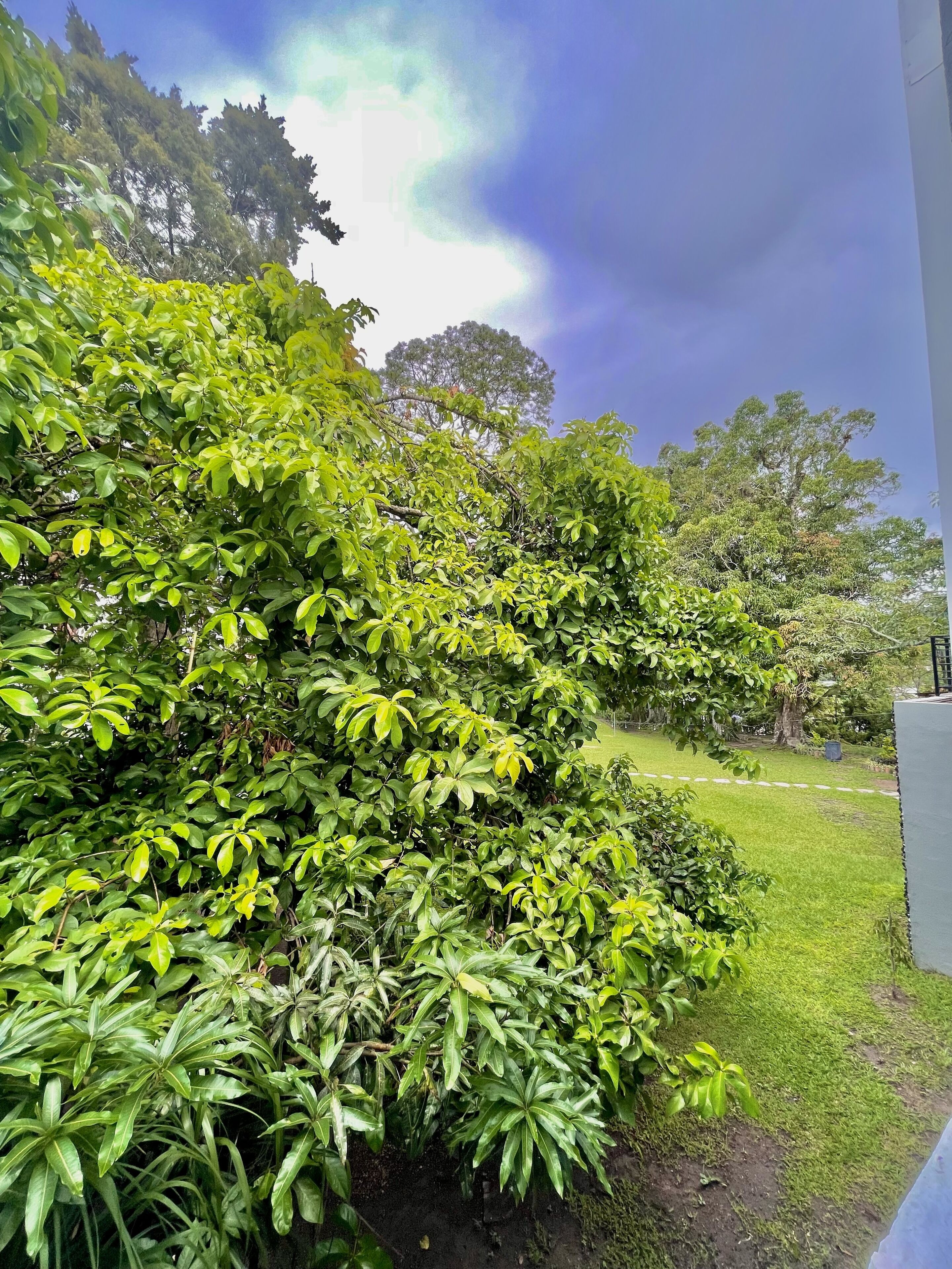 budget double room | view from room