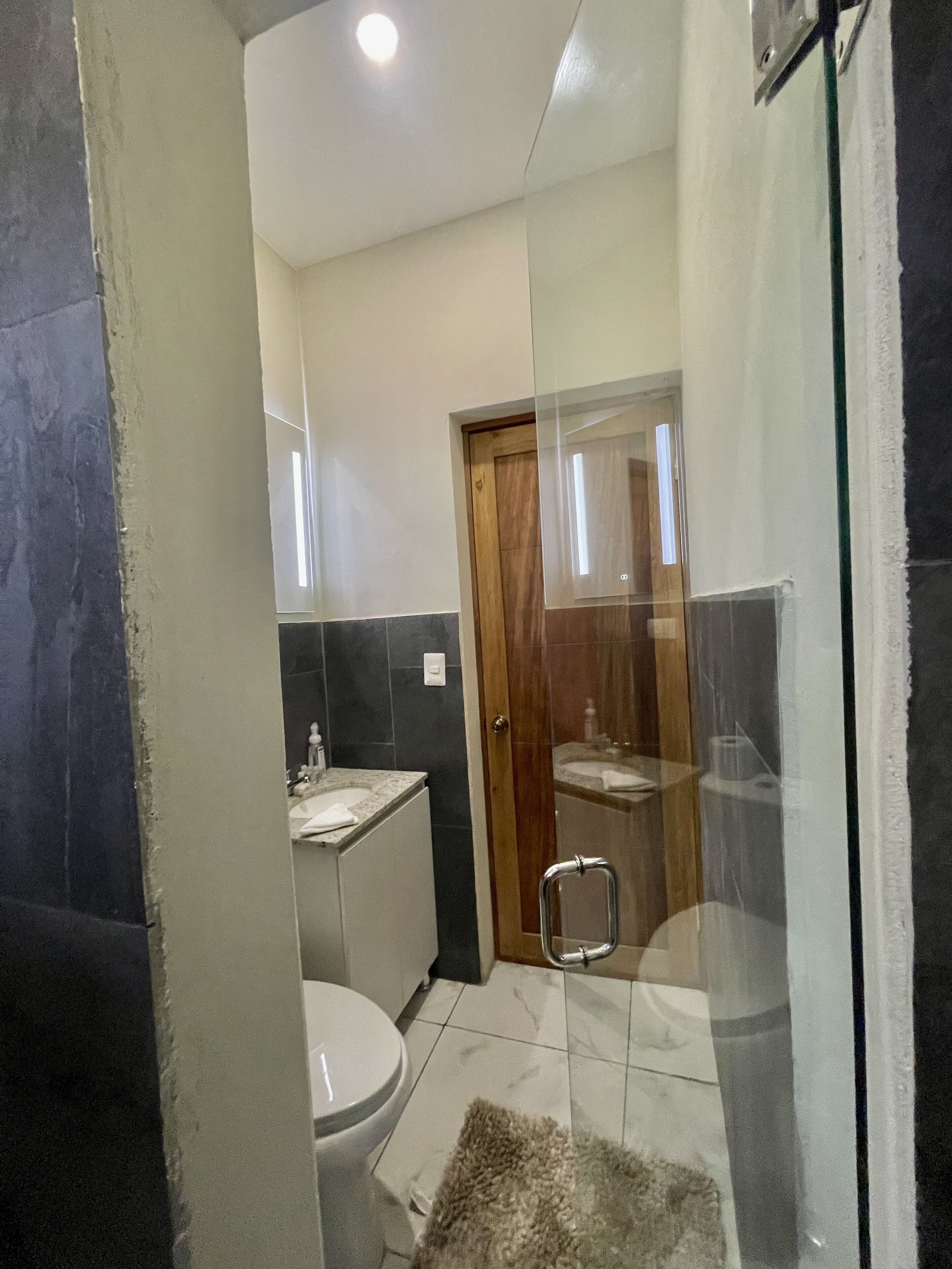 A modern bathroom with a glass shower enclosure, a toilet, and a sink.