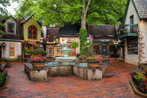 Stroll through the historic town square, surrounded by charming buildings and a central fountain.