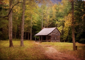 Escape to a serene forest retreat with a cozy cabin featuring a central chimney and porch.