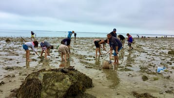 Sillas reclinables de playa