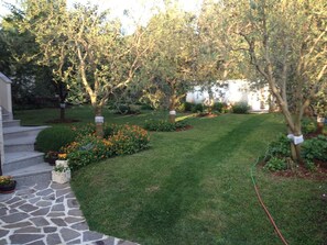 المنطقة المحيطة بالمنشأة