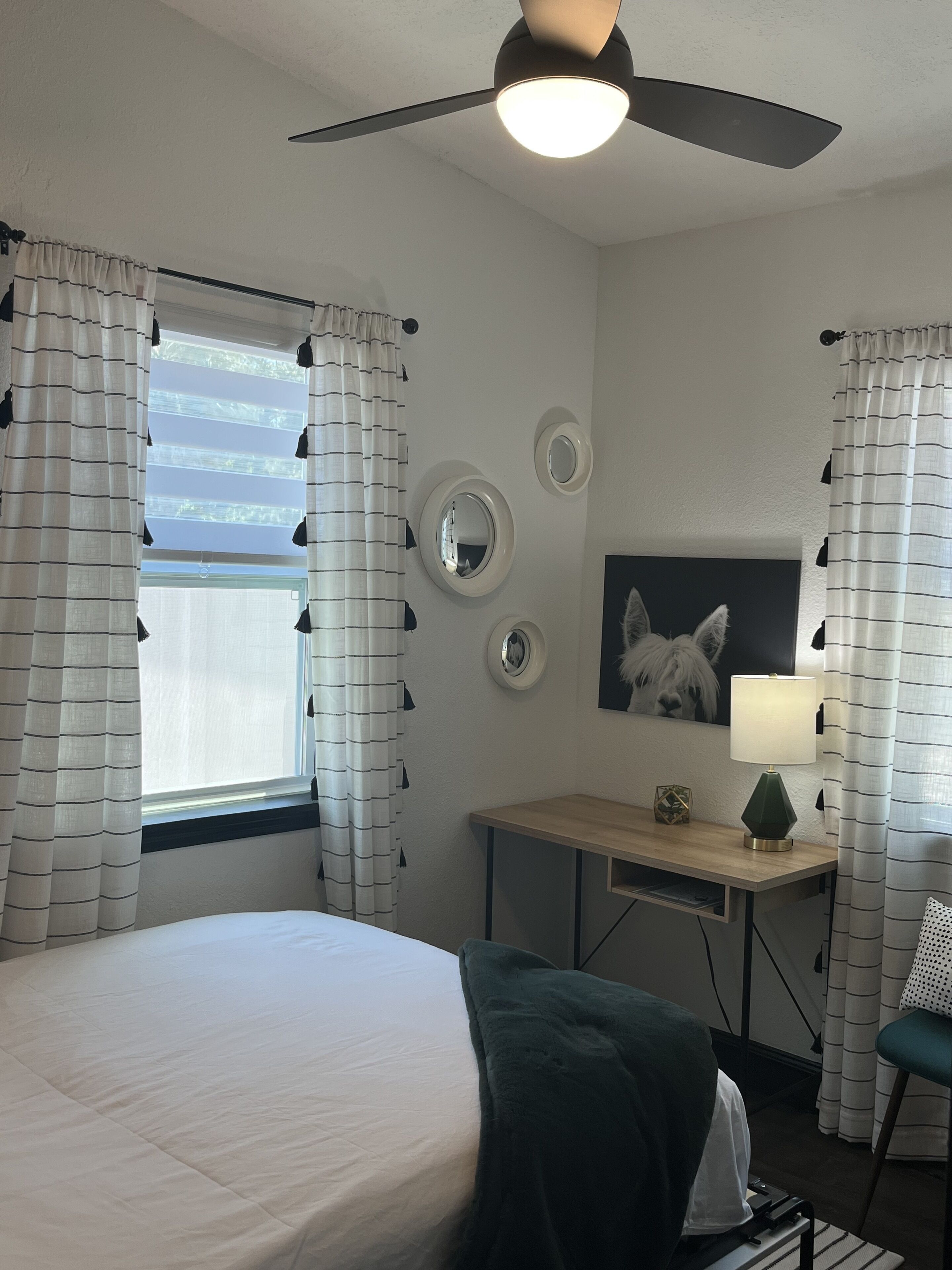 A hotel room with a bed, a desk, a chair, a lamp, and a ceiling fan.